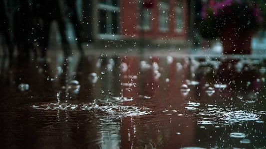 Everything you need to know on how to keep the bugs away this rainy season