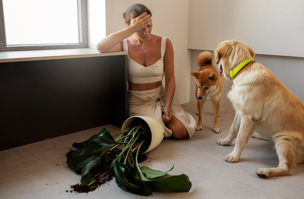 Cleaning Up After Pets: Tips and Products for a Fresh and Clean Home