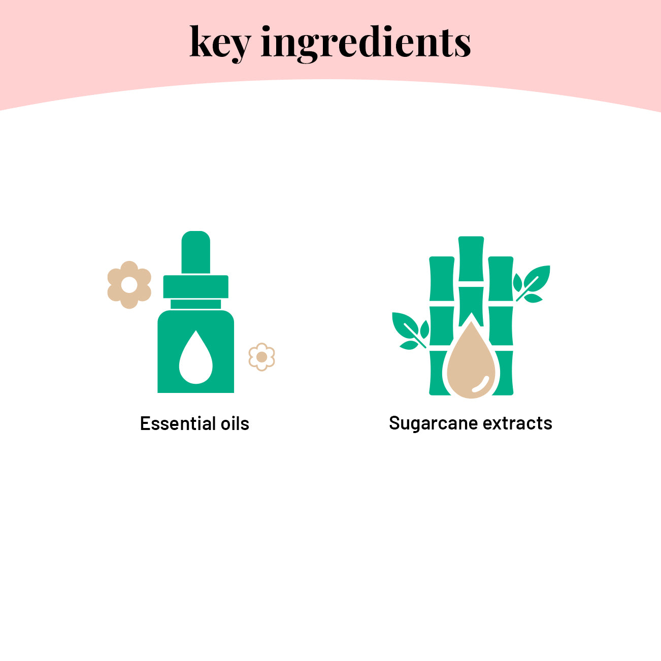 Plant-based Ant Repellent Spray