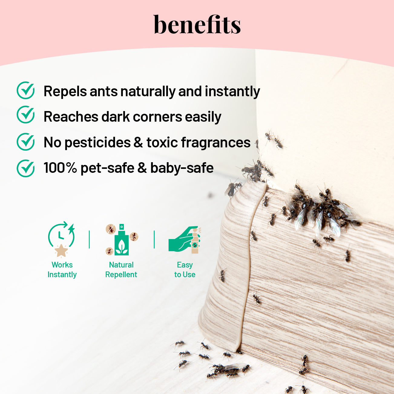 Safe Family Cleaning Essentials