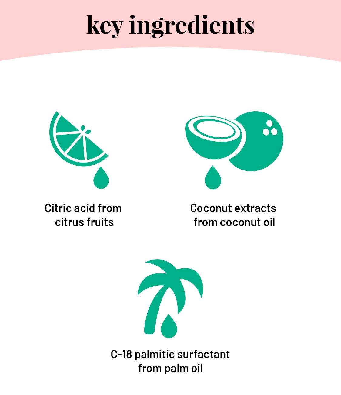 Bathroom Cleaning Essentials