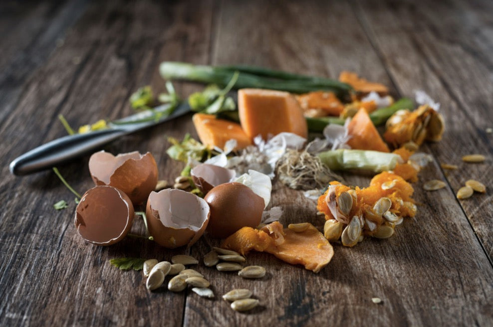 Turn your food scraps into garden gold! A beginners guide to composting
