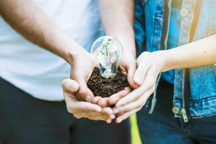 4 Tips To A Greener 2021
