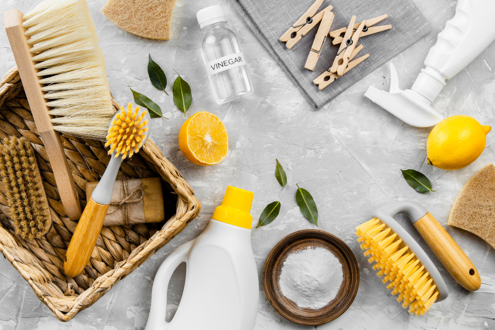 Natural & Non-Toxic Ways of Getting Rid of Pests from Your Home – BornGood