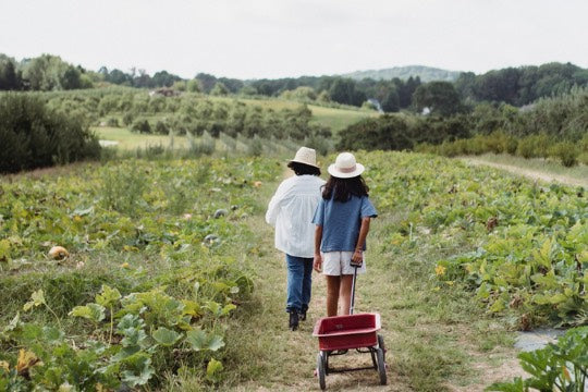 5 Green New Year Resolutions That Are EASY To Keep