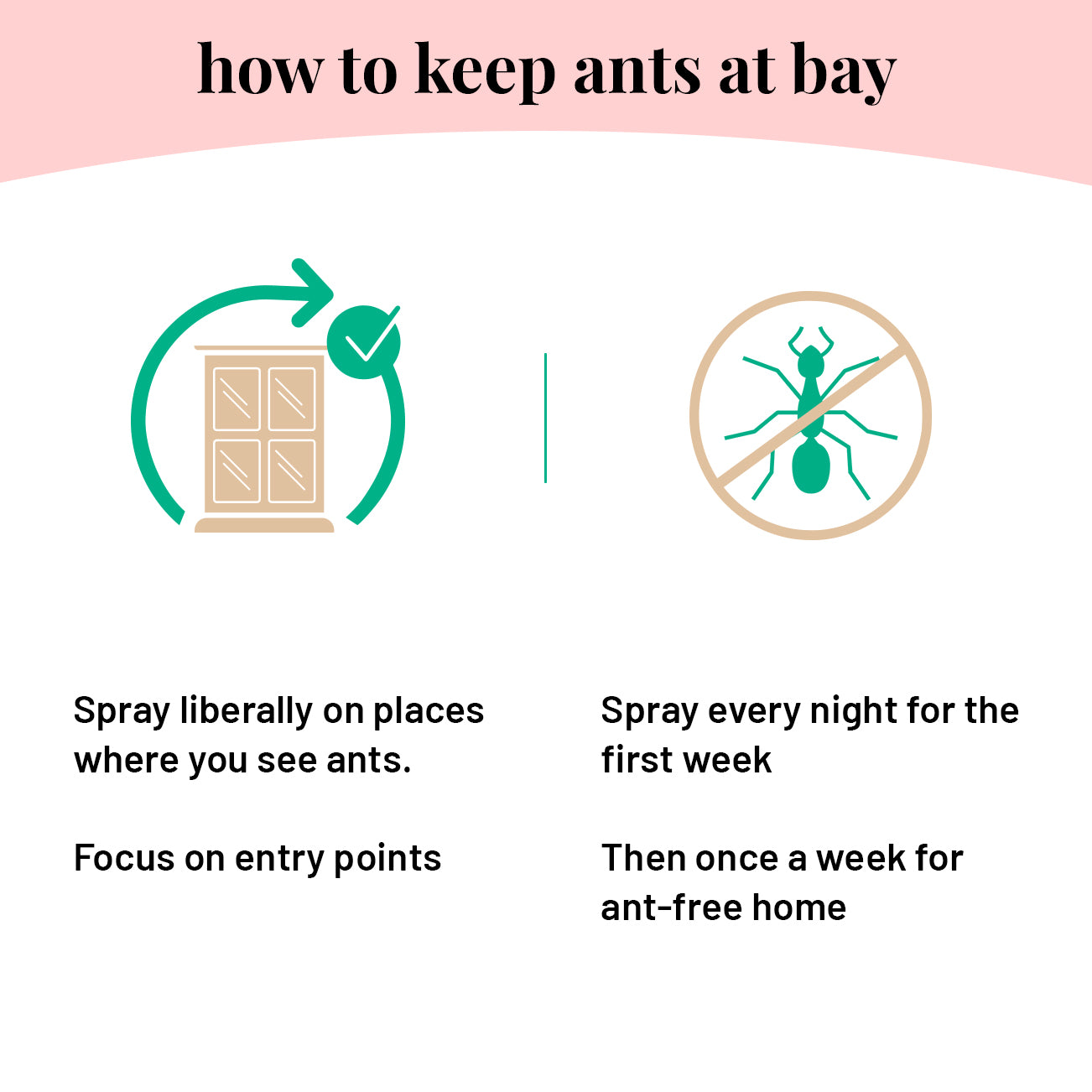 Plant-based Ant Repellent Spray